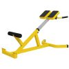 Soozier Roman Chair Back Extension Machine, Height Adjustable Hyperextension Bench with Dip Bars, Multi-Functional for Back, Core