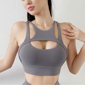 New Sexy Women's Sports Bra Top Women Tight Elastic Gym Sport Yoga Bras Bralette Crop Top Chest Pad Removable 13 Colors (Color: Titanium Gray, size: L)